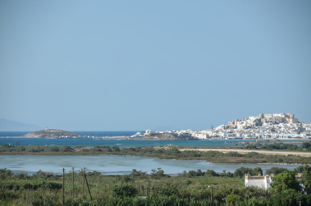 Naxian Spirit Suites & Apartments Agia Anna  Esterno foto